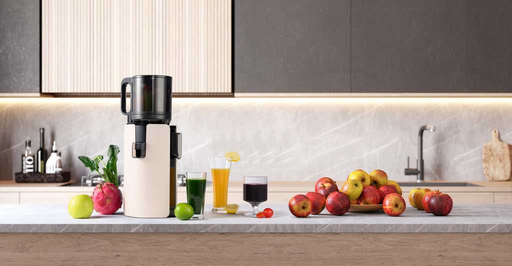 Ventray Max 120 Juicer Usage Tips and Maintenance Guide