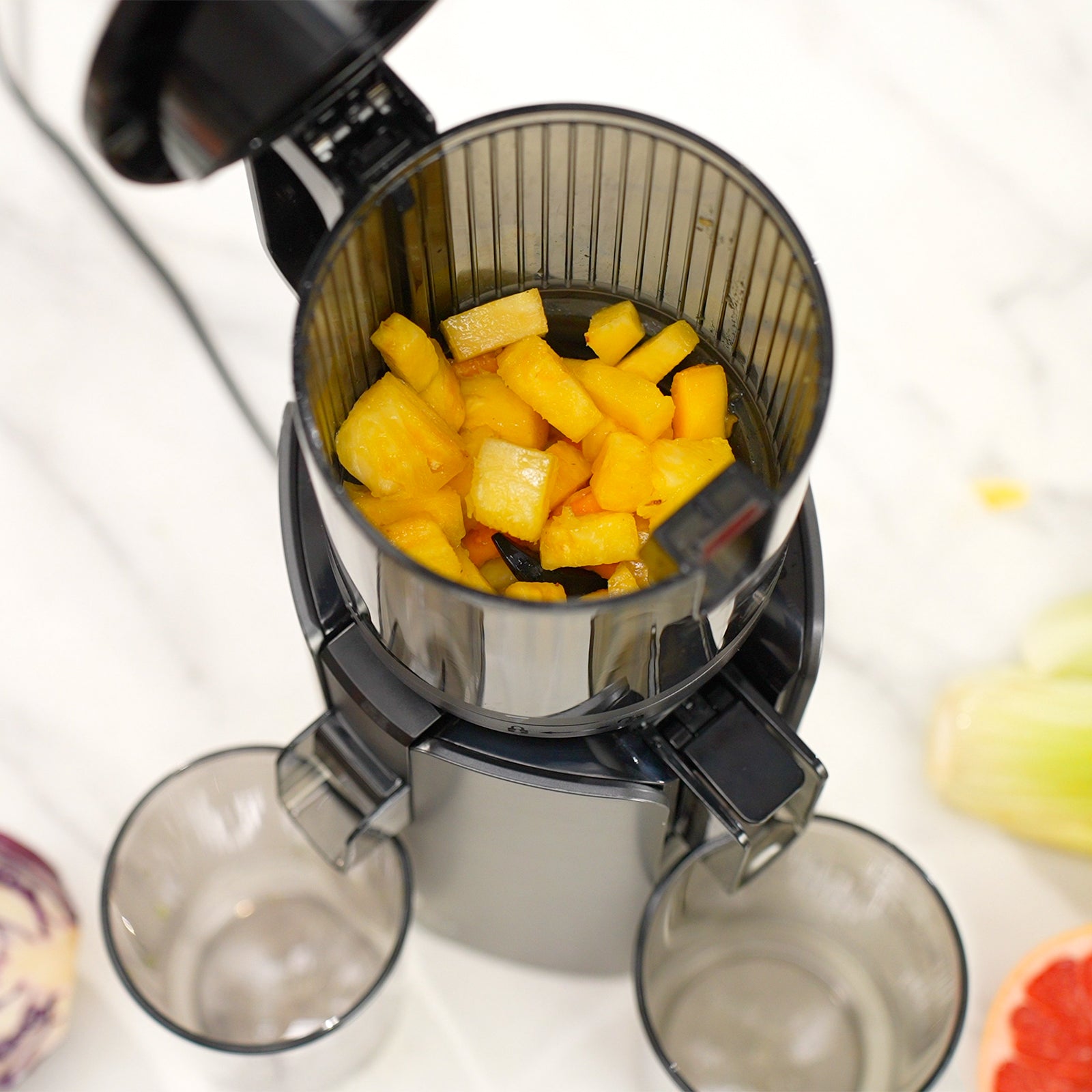 Max 120 Cold Press Juicer