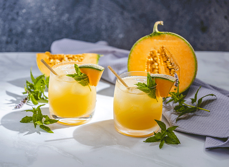 Ventray USA | Best Masticating Juicer | Ginnie