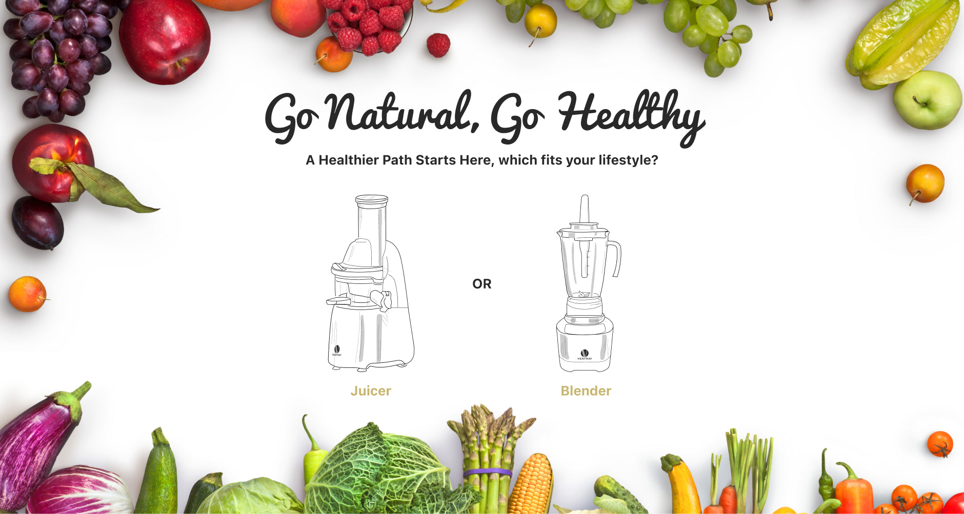 Ventray USA | Best Masticating Juicer | Ginnie