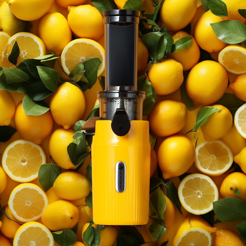 The Best Portable Cold Press Juicer of 2024