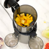 Max 120 Cold Press Juicer
