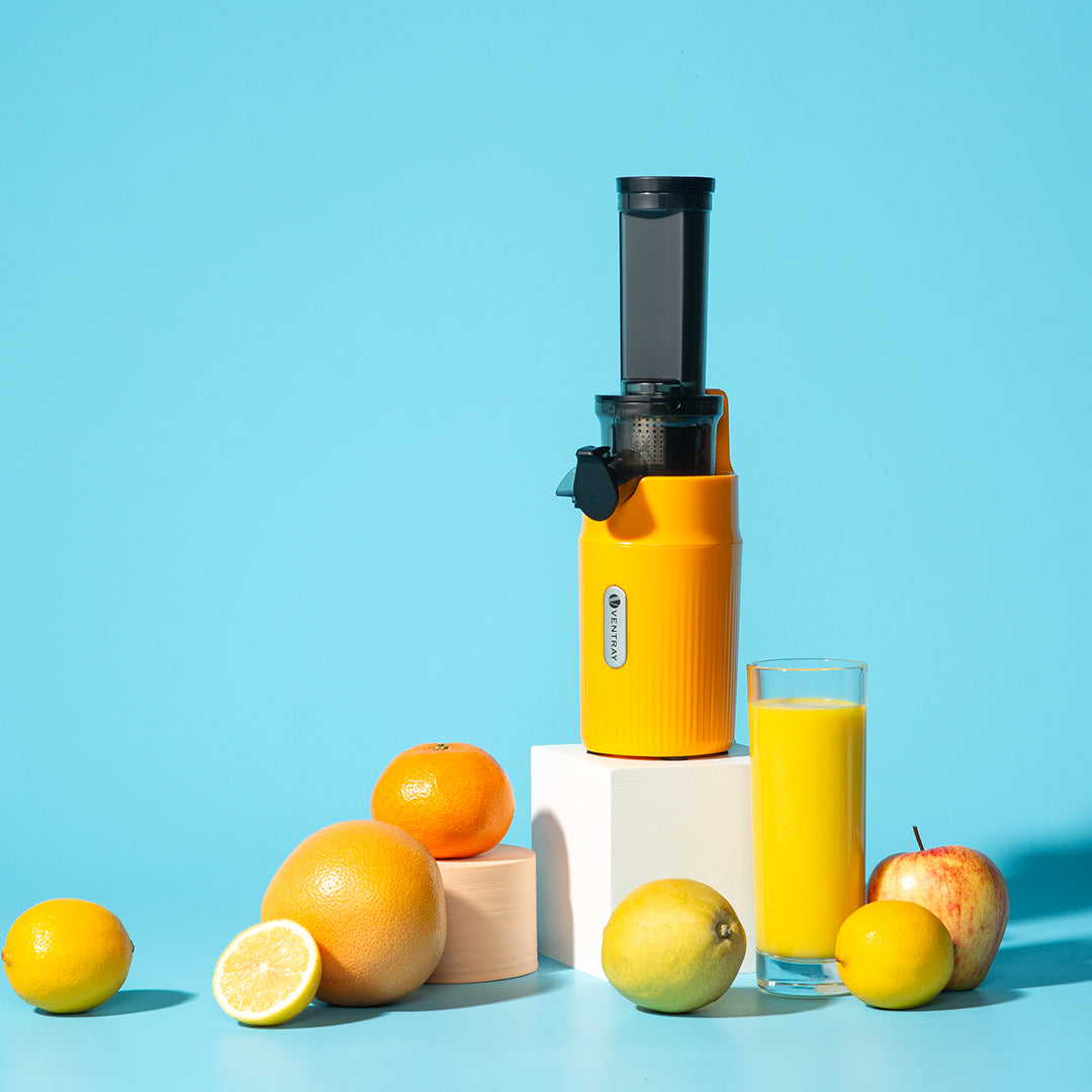 Ventray Ginnie Slow Juicer