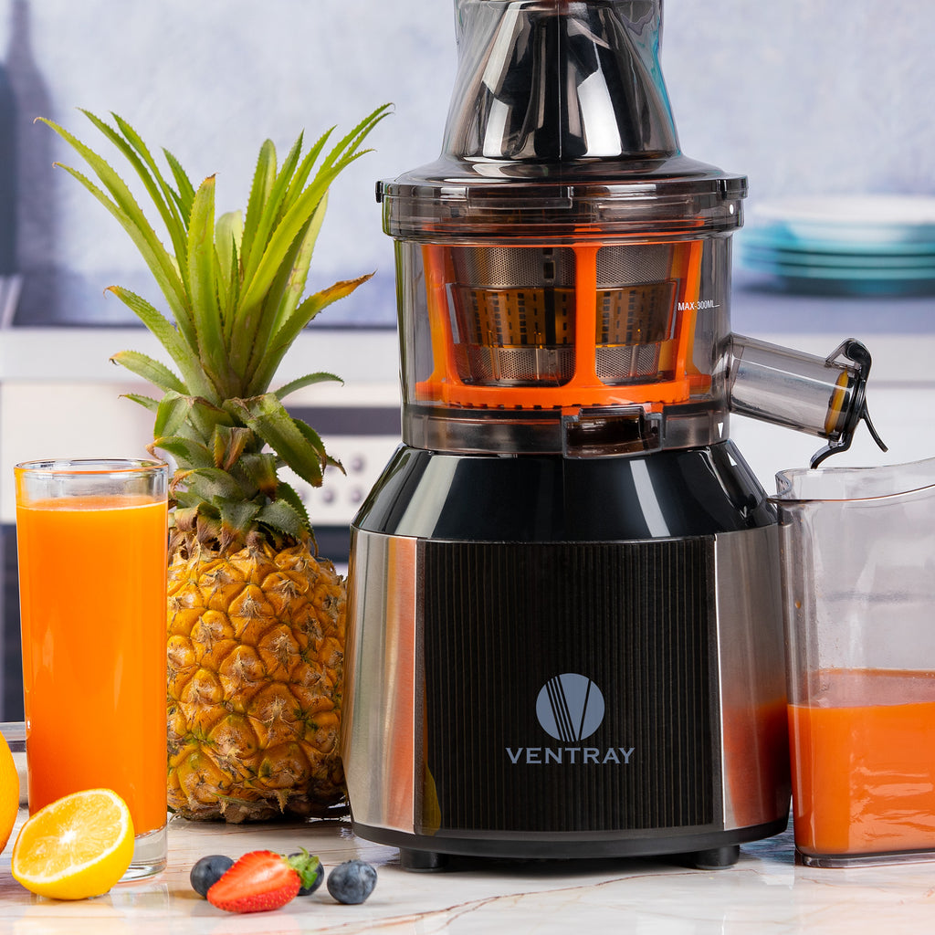 Ventray 808 Cold Press Masticating Juicer Ventray USA
